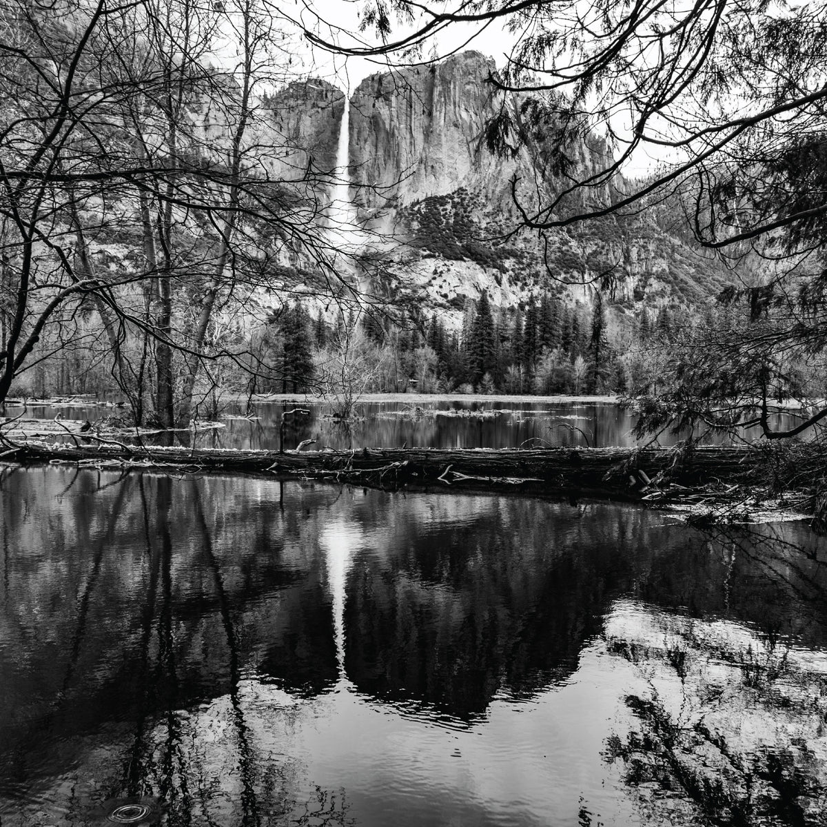 2024 Reflections Calendar Yosemite Conservancy