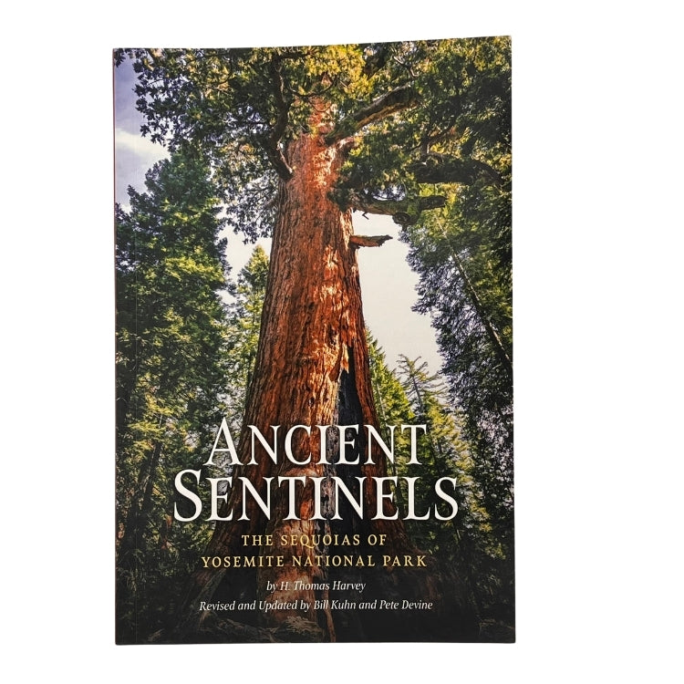 Ancient Sentinels The Sequoias of Yosemite National Park