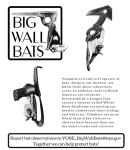 Big Wall Bat Decal