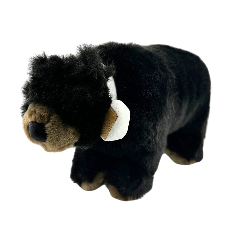 Black Bear 12" Plush