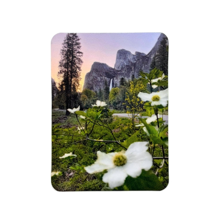 Bridalveil Dogwood Sticker