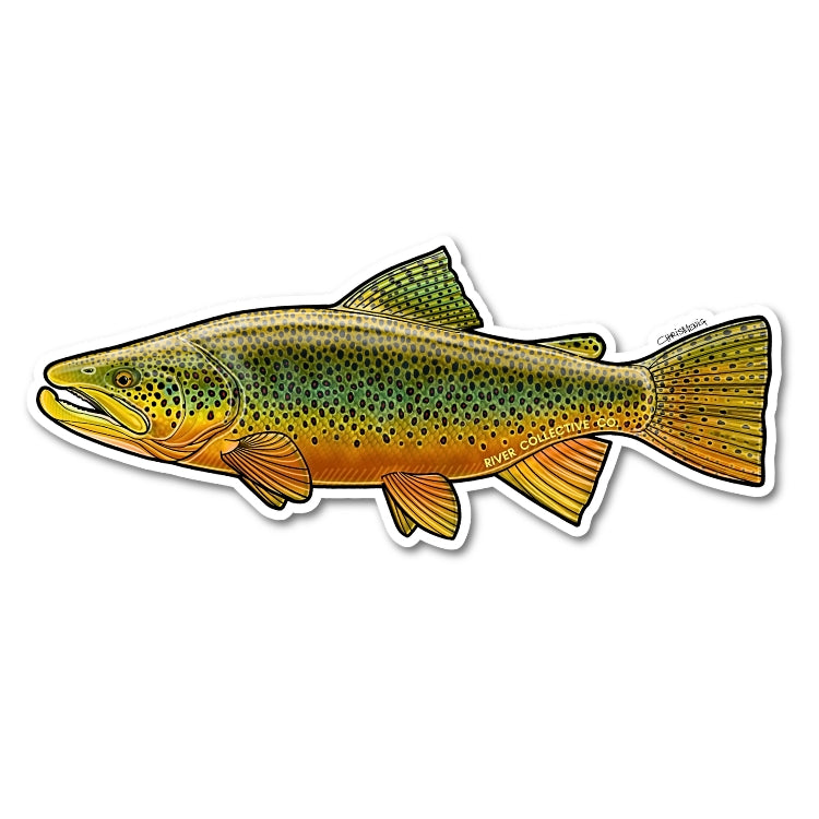 Brown Trout Decal