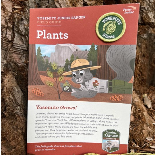 Junior Ranger Field Guide - Plants