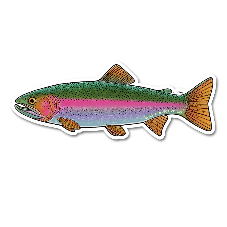 Juvenile Rainbow Trout Decal