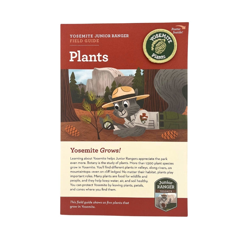 Junior Ranger Field Guide - Plants
