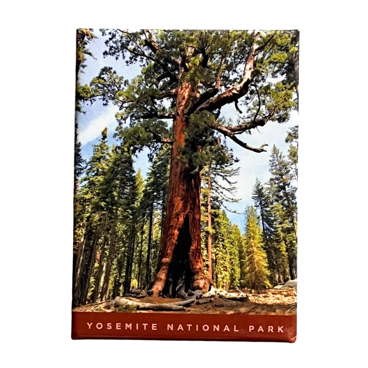 Sequoia Magnet