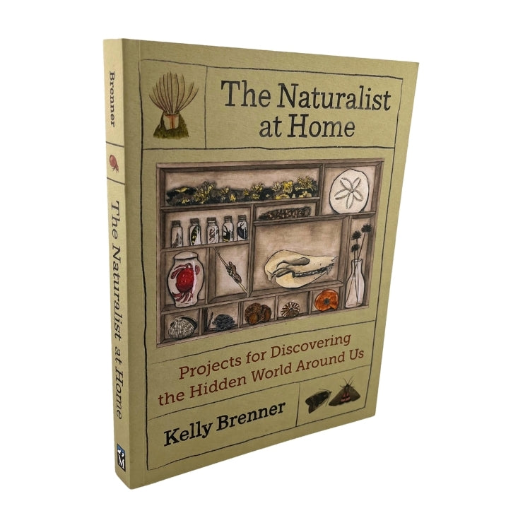 The Naturalist At Home