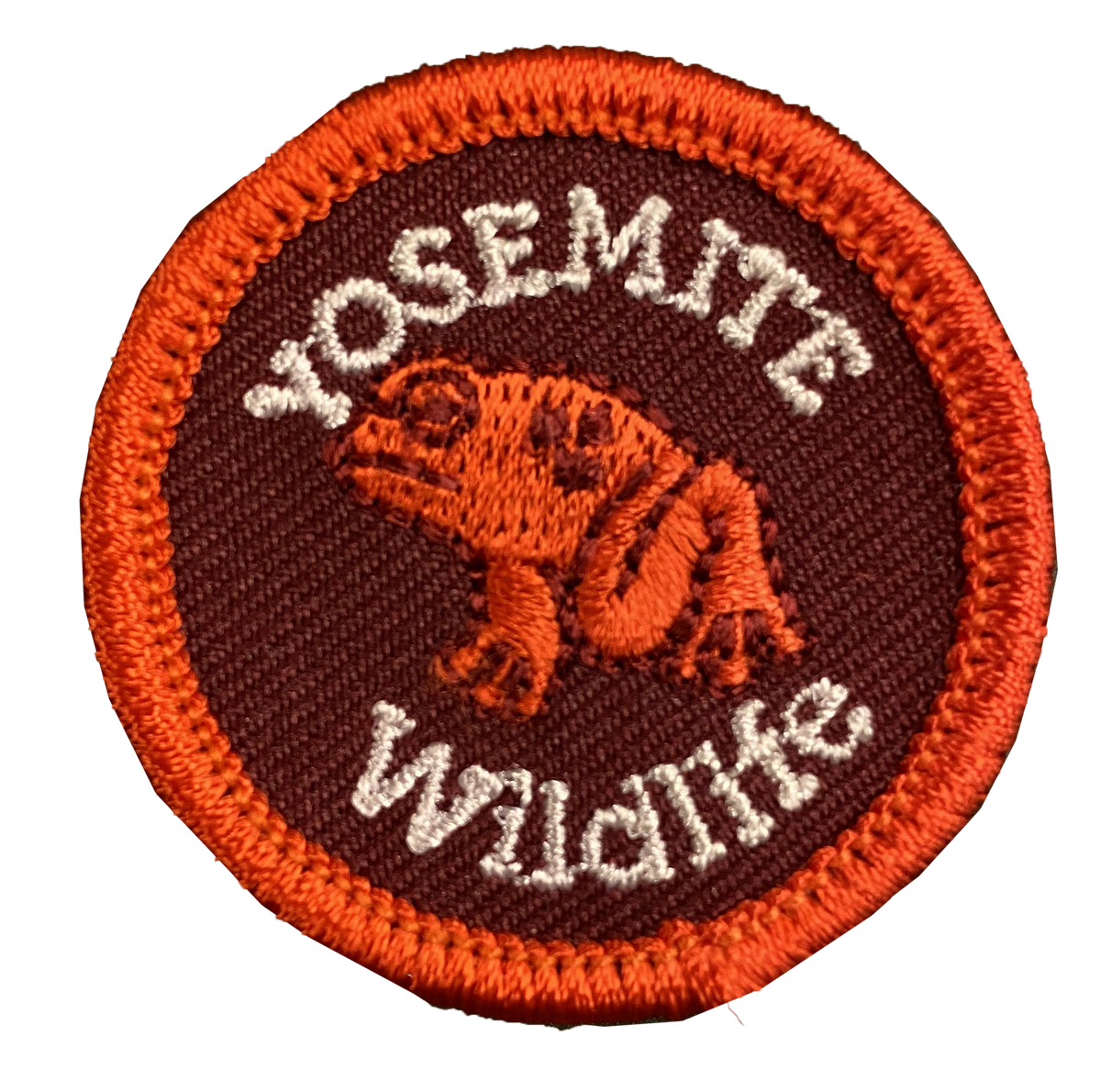 Junior Ranger Field Guide: Wildlife – Yosemite Conservancy