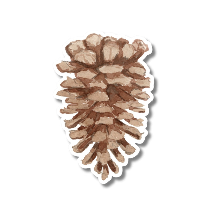 Ponderosa Pine Cone Sticker
