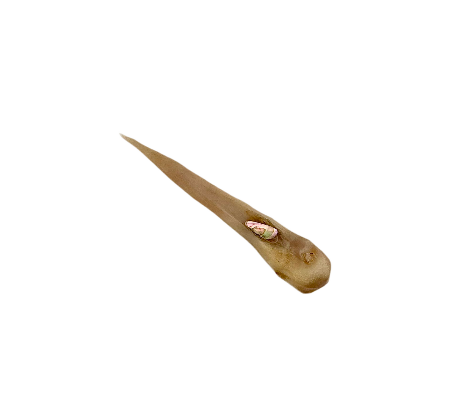 Bone Awl