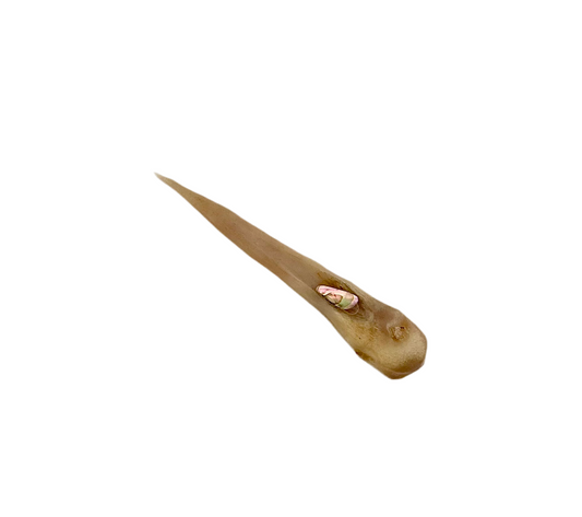 Bone Awl