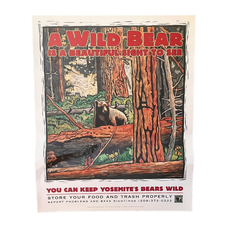 A Wild Bear Is Poster