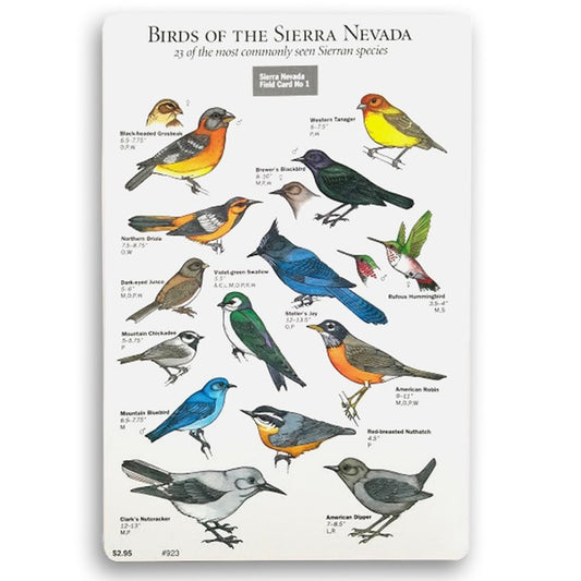 Birds of the Sierra Nevada Field Card