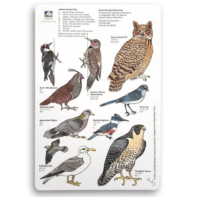 Birds of the Sierra Nevada Field Card