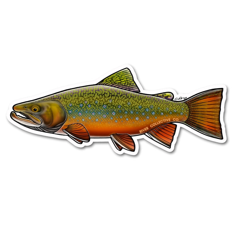 Brook Trout Decal