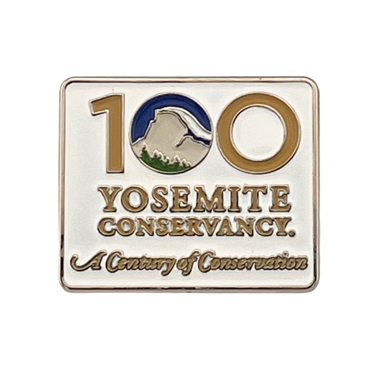 Centennial Pin