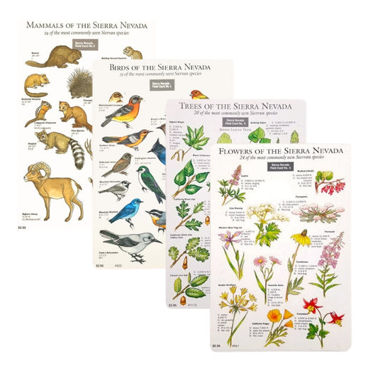 Field Card Bundle
