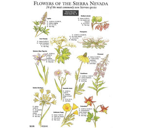 Flowers Sierra Nevada Field Card