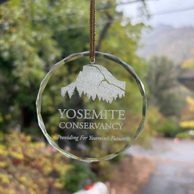YC Logo Glass Ornament