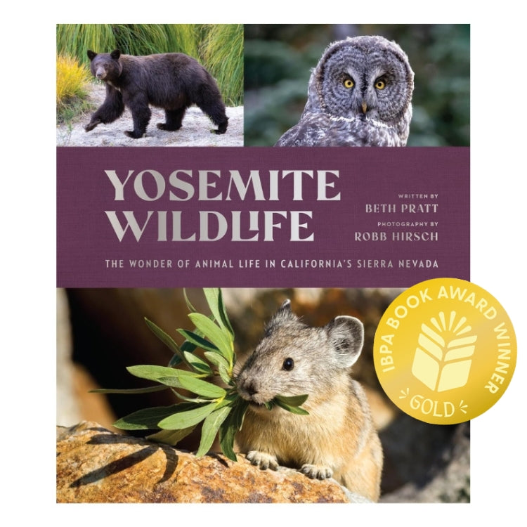Yosemite Wildlife