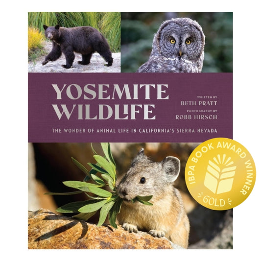 Yosemite Wildlife