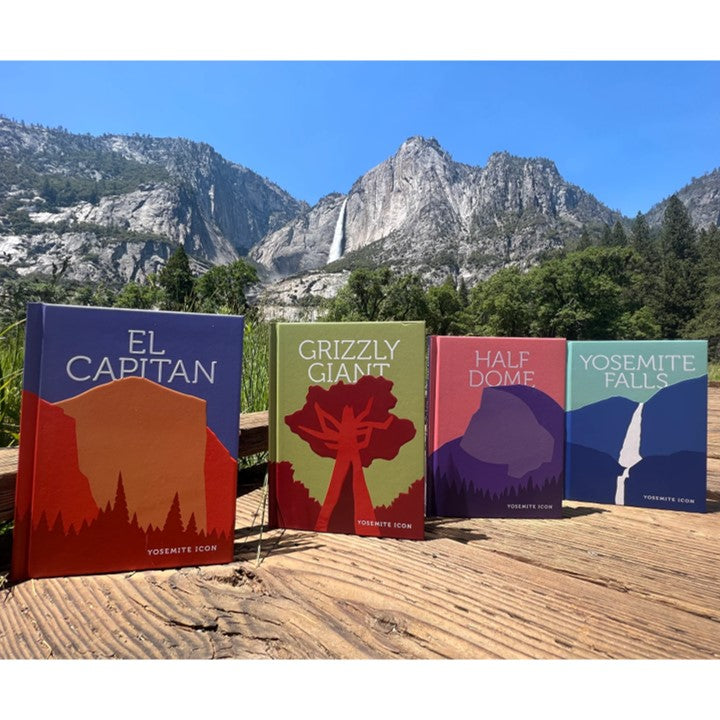 Icon Book Bundle