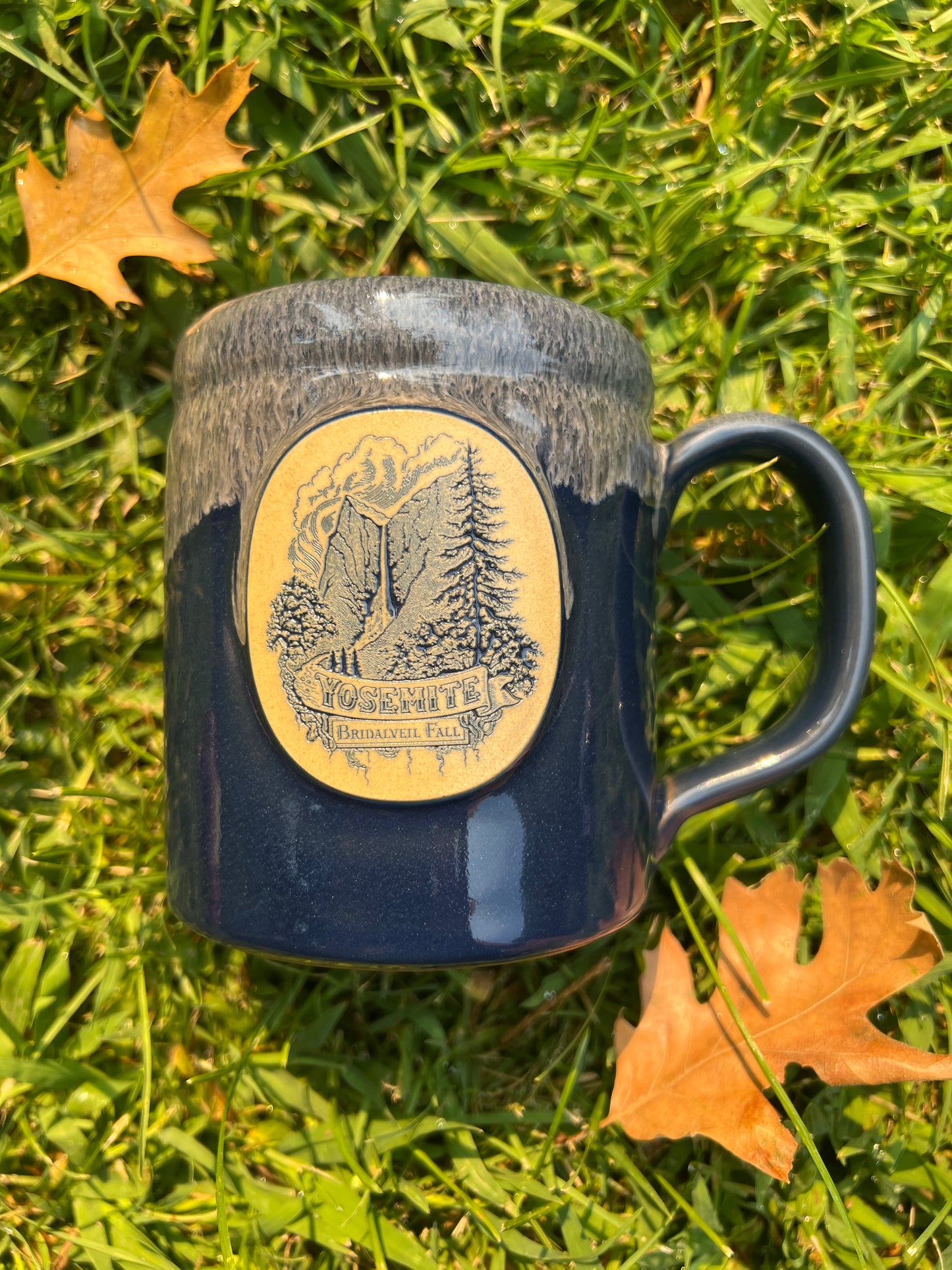 Bridalveil Fall Mug