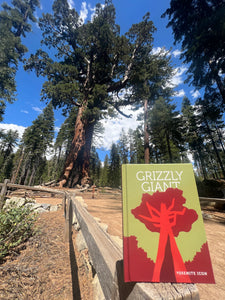 Yosemite Icon: Grizzly Giant
