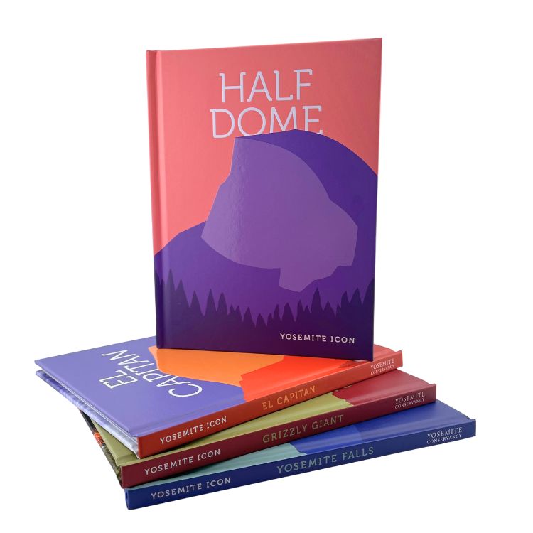 Icon Book Bundle