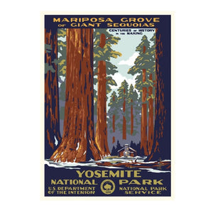 Mariposa Grove Postcard