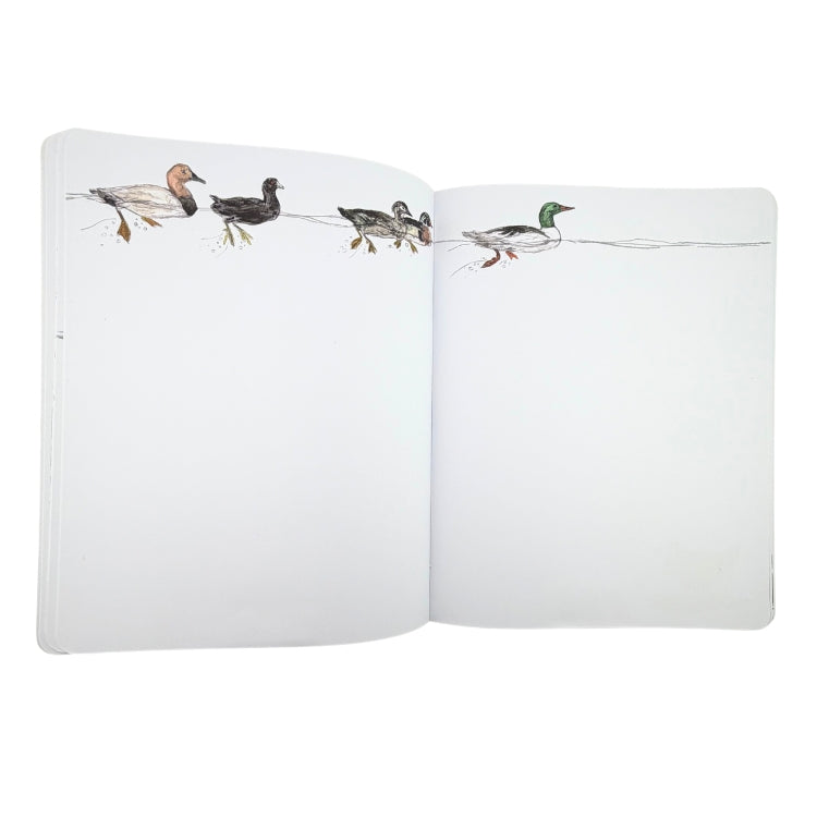 Nature Notebook 2026