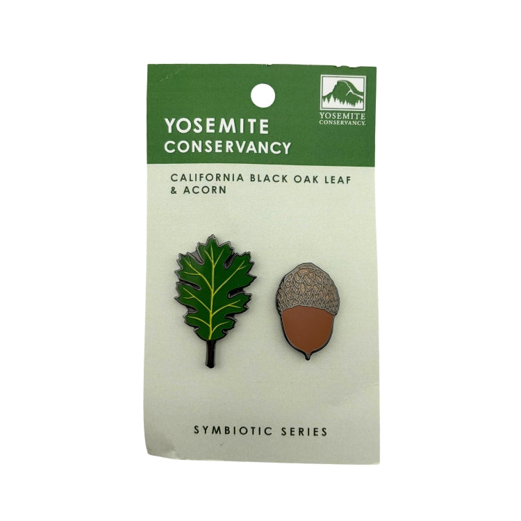 Black Oak Leaf & Acorn Pin Set