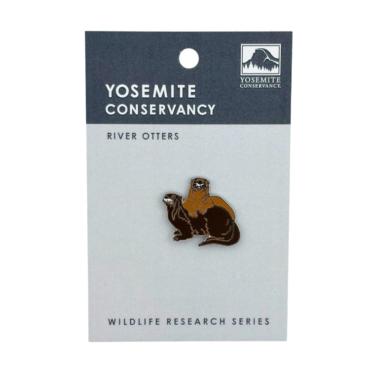 River Otters Pin