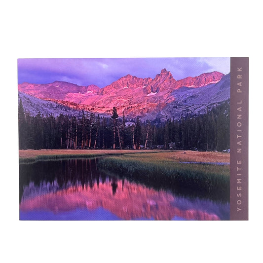 Wilderness Postcard