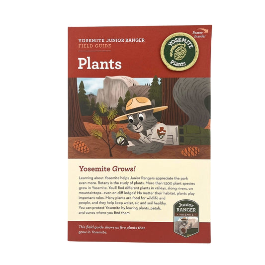 Junior Ranger Field Guide - Plants