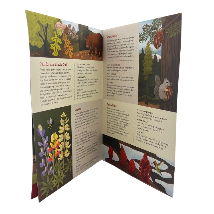 Junior Ranger Field Guide - PLANTS