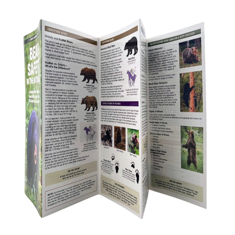 Pocket Naturalist: Bear Safety - 9781620057384