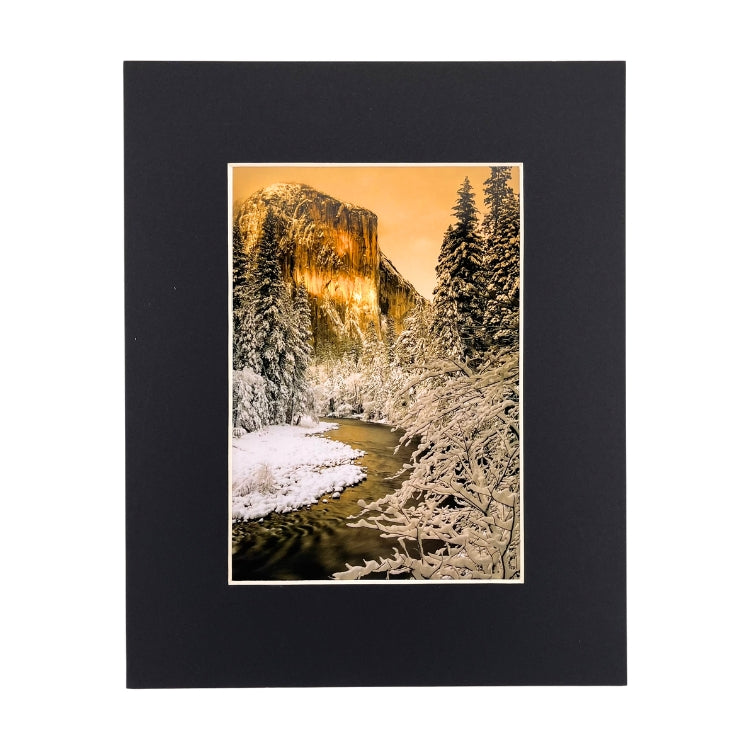Robb Hirsch Large - 8x10 (11x14)