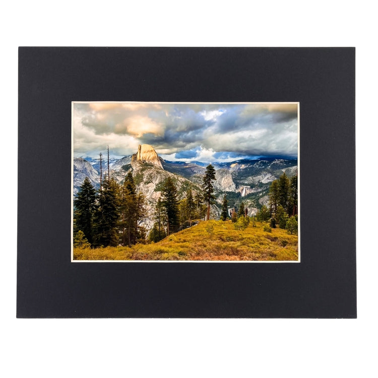 Robb Hirsch Large - 8x10 (11x14)