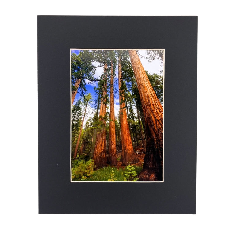 Robb Hirsch Large - 8x10 (11x14)