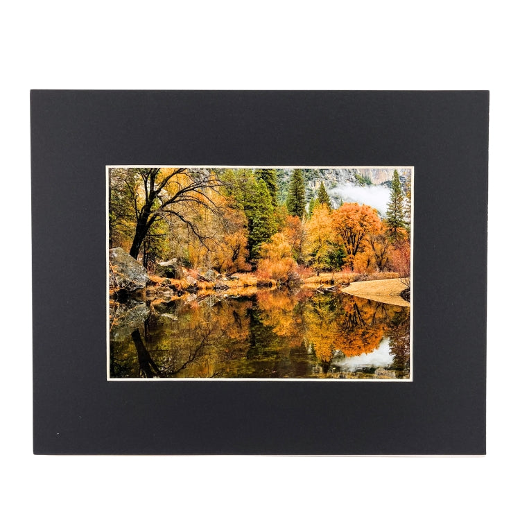 Robb Hirsch Large - 8x10 (11x14)
