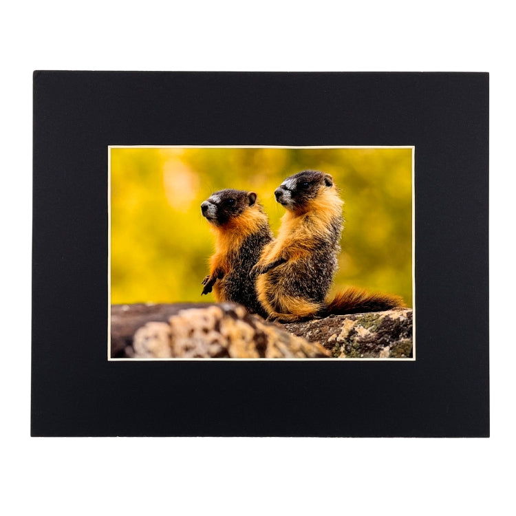 Robb Hirsch Large - 8x10 (11x14)