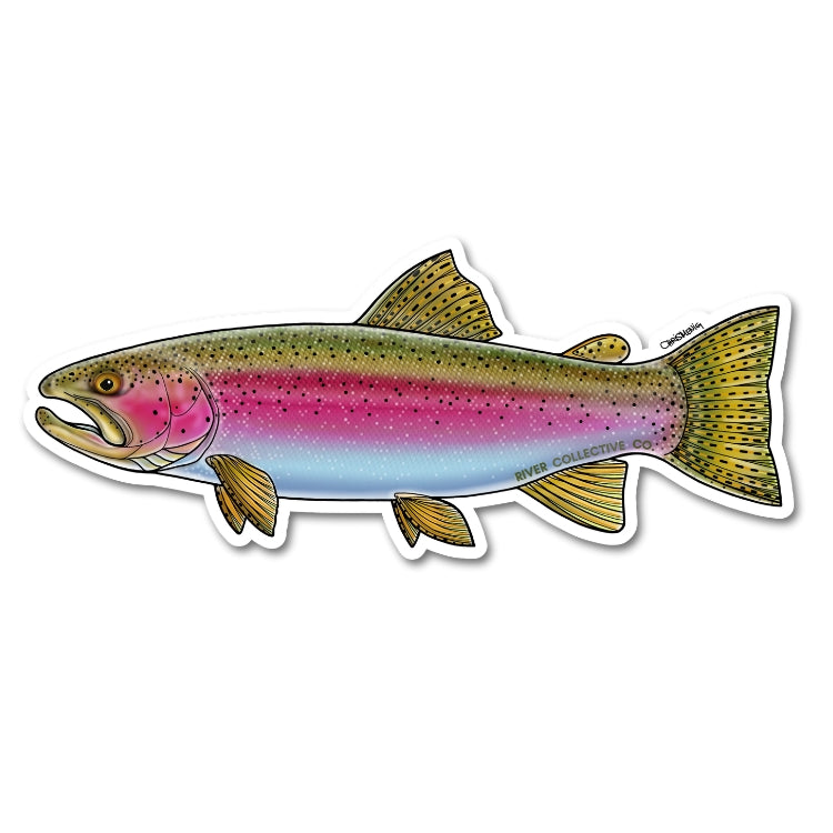 Rainbow Trout Decal