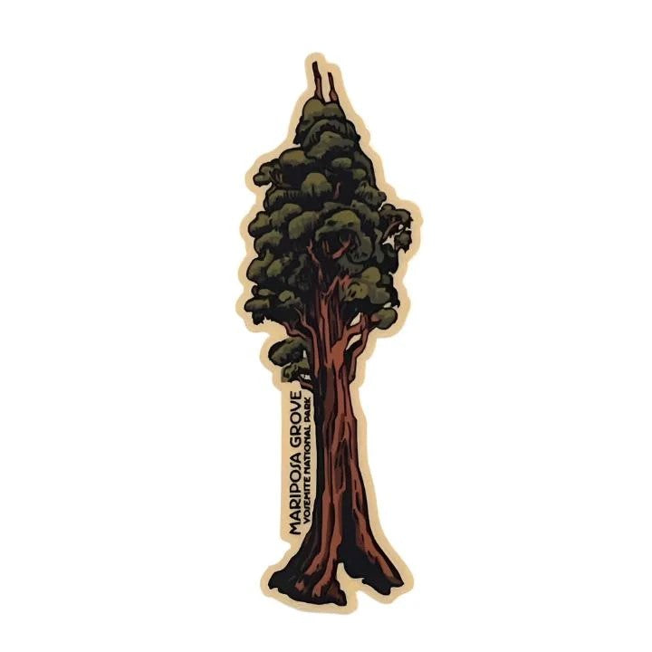 Sequoia Solo Sticker