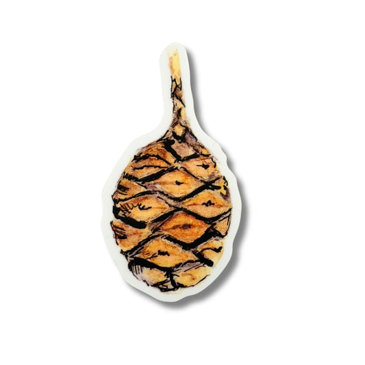 Sequoia Cone Sticker