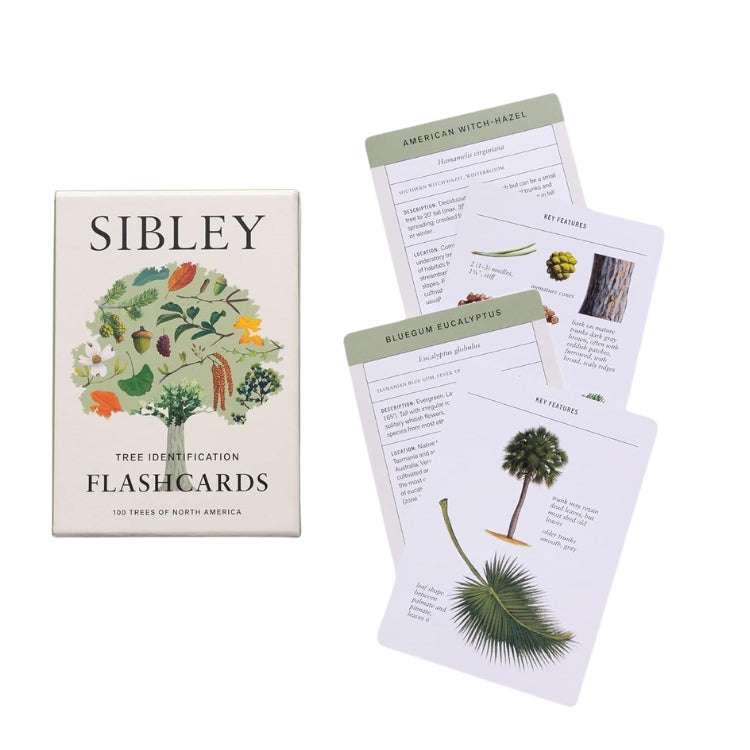 Sibley Tree Identification Flashcards