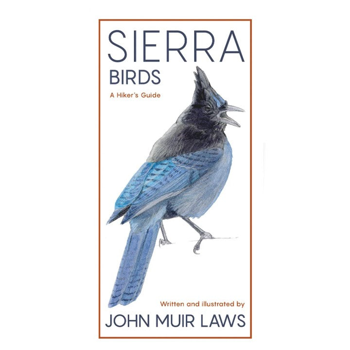 Sierra Birds