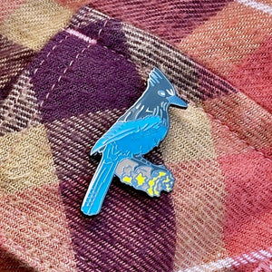 Stellar's Jay Pin