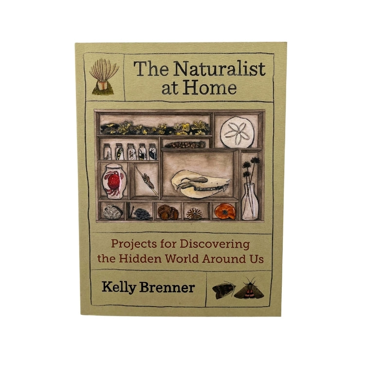 The Naturalist At Home