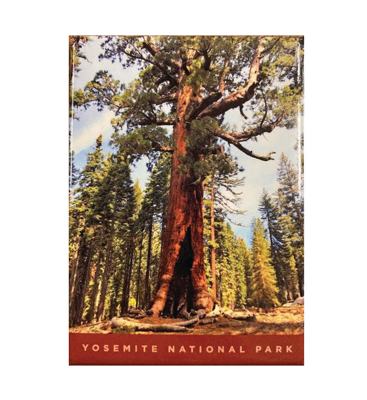 Sequoia Magnet